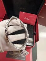 Cartier Santos Misto - Mini - Imagem 4